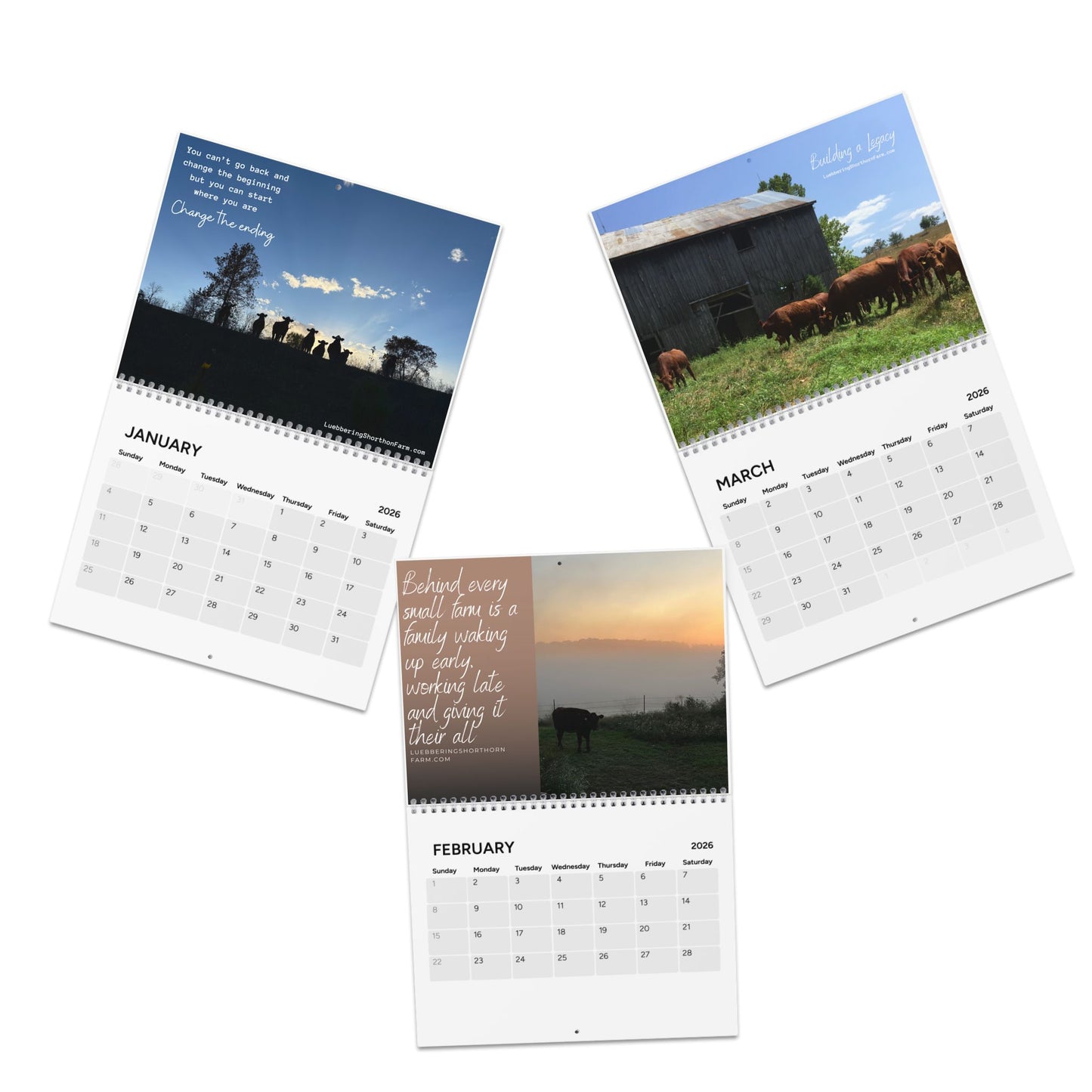 2026 Shorthorn Cattle Calendar — Monthly Farm & Livestock Wall Calendar